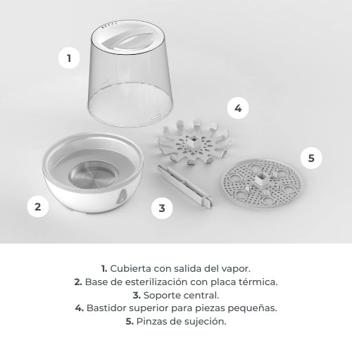 infografica-1083-ES-4