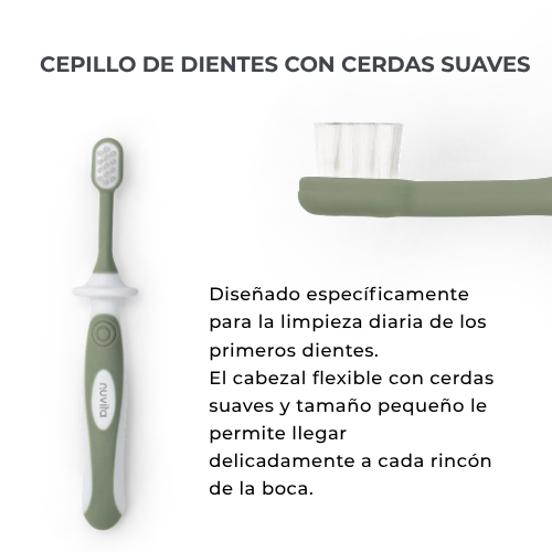 infografica-1101-ES-5