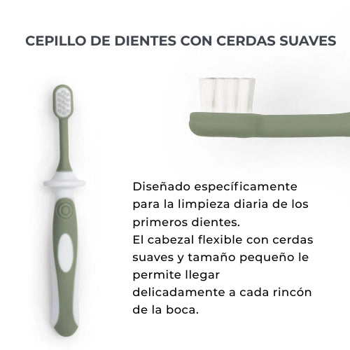 infografica-1101-ES-5