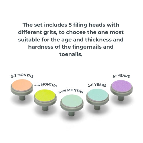 infografica-1130-EN-4