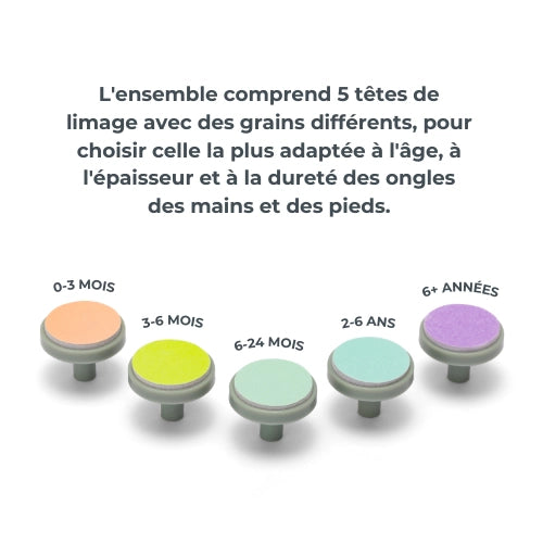 infografica-1130-FR-4