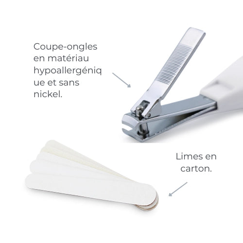 infografica-1138-FR-2