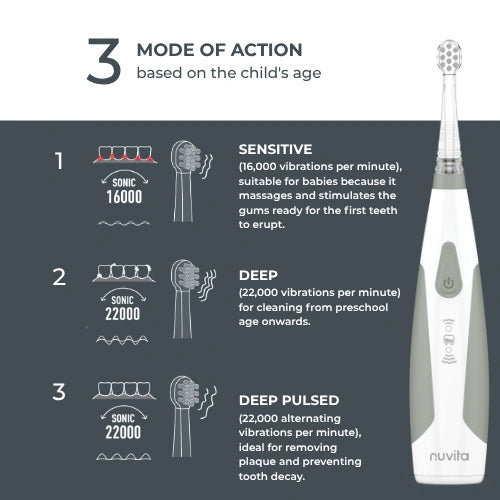infografica-1151-EN-4