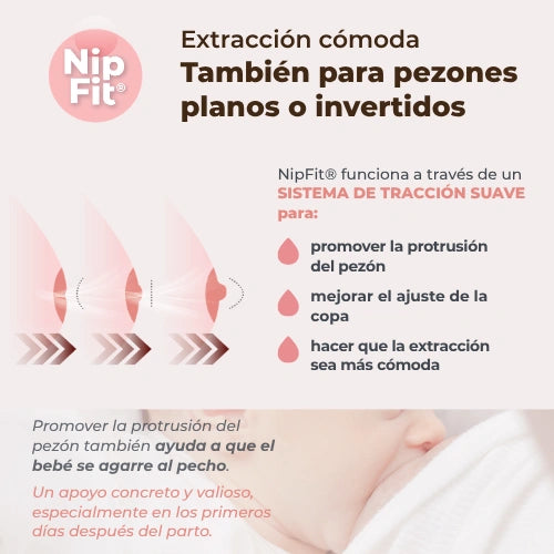 infografica-1260W-ES-4