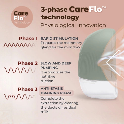 infografica-1264W-EN-2