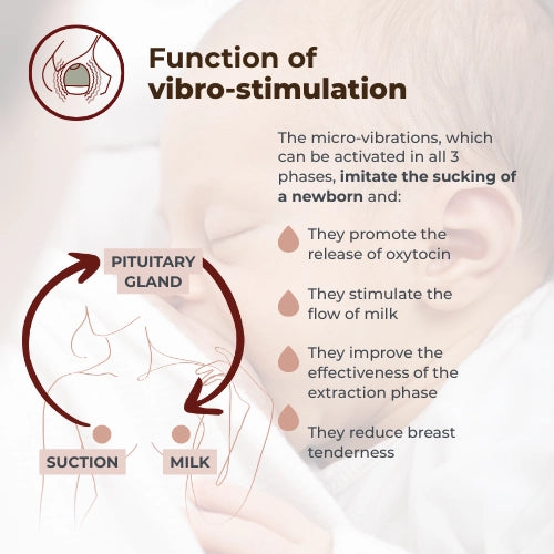 infografica-1264W-EN-4