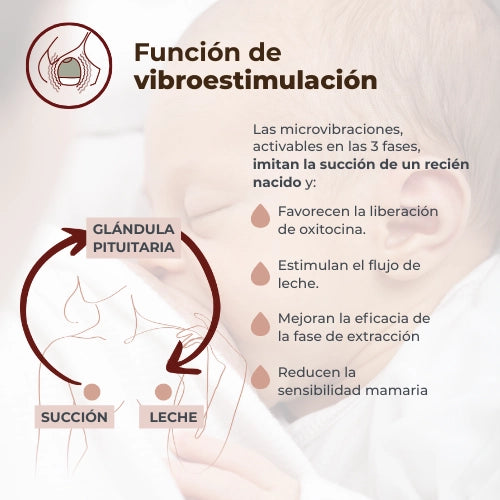 infografica-1264W-ES-3