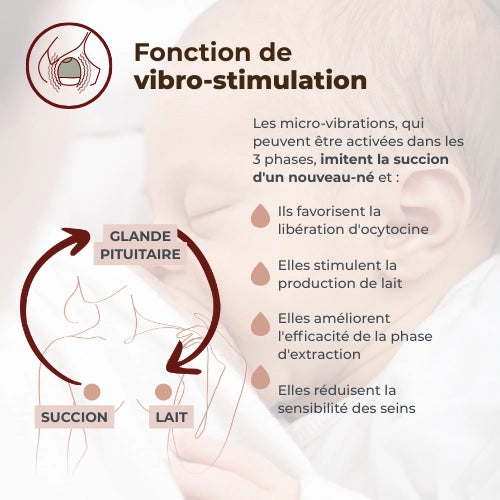 infografica-1264W-FR-3