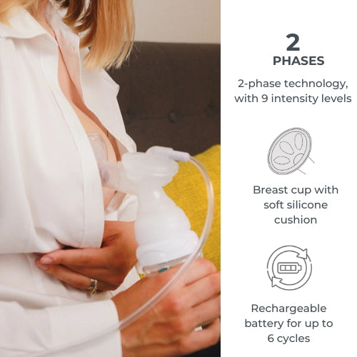 infografica-1282C-EN-1