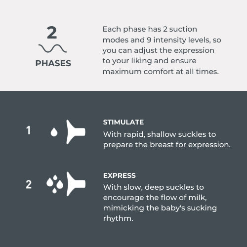 infografica-1282C-EN-2