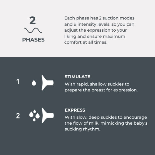 infografica-1282C-EN-2