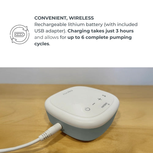 infografica-1282C-EN-5