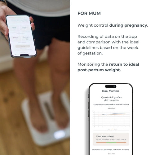 infografica-1330-EN-3