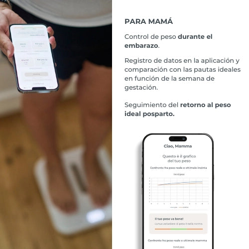 infografica-1330-ES-3