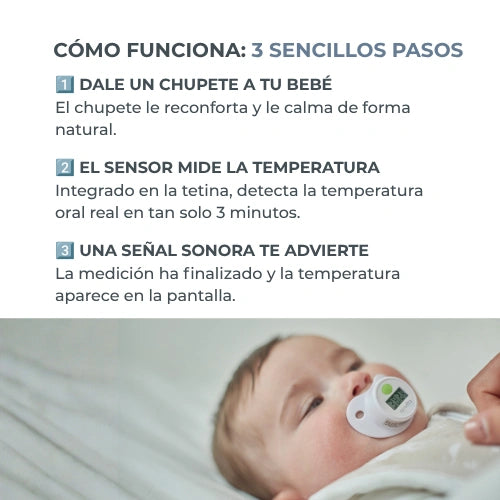 infografica-2010-ES-2