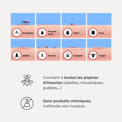 infografica-2110-FR-4