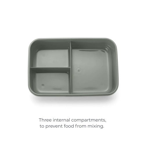 infografica-4430-EN-2