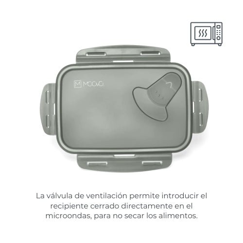 infografica-4430-ES-3