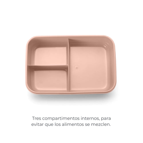 infografica-4431-ES-2