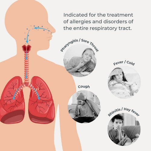 infografica-5023-EN-4