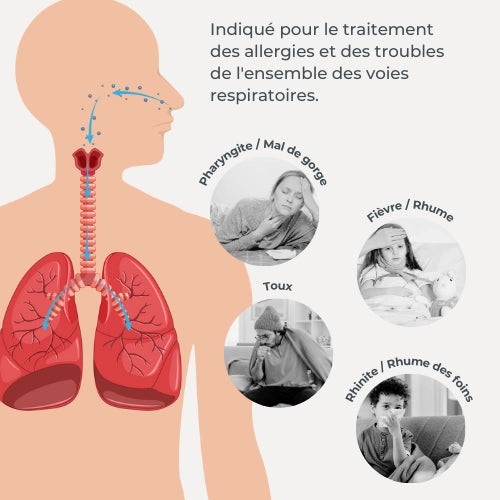 infografica-5030-FR-4