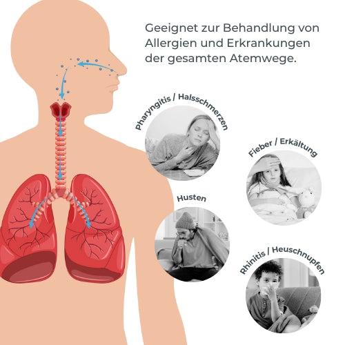 infografica-5078-DE-3