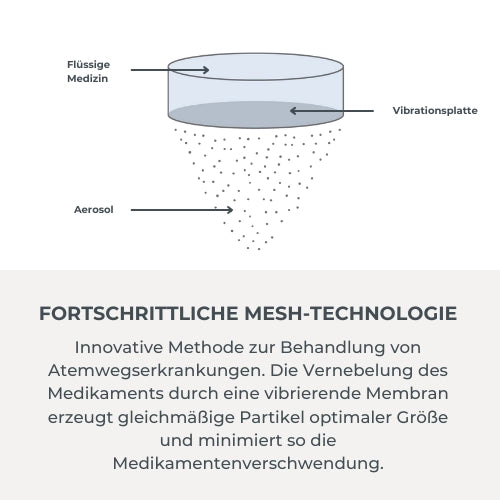 infografica-5078-DE-4
