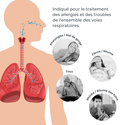 infografica-5078-FR-3