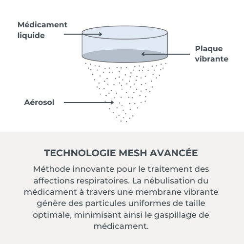 infografica-5078-FR-4