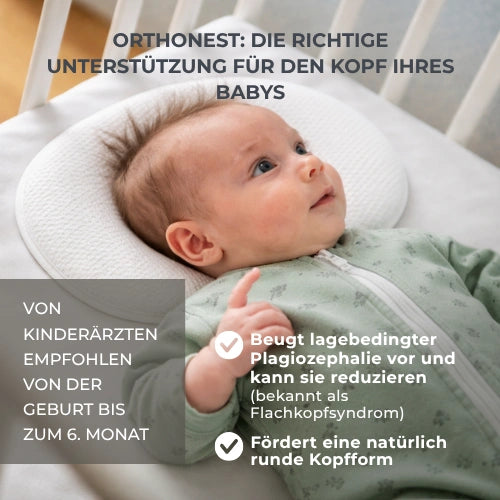 infografica-6505-DE-2