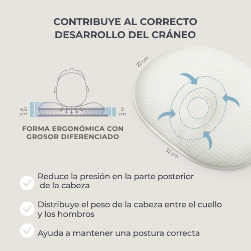 infografica-6505-ES-3