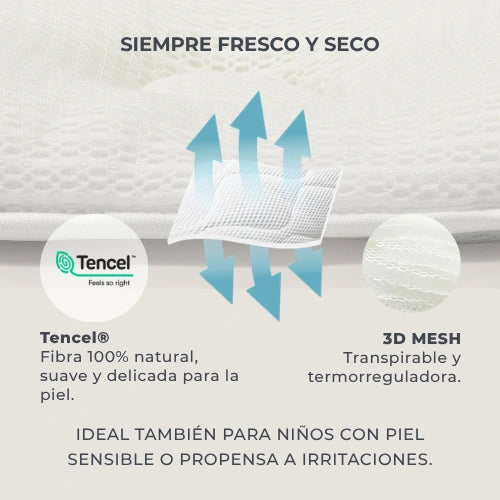 infografica-6505-ES-4