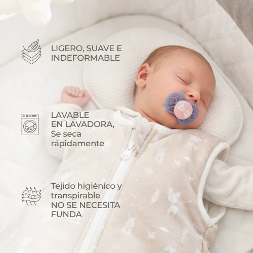 infografica-6505-ES-6