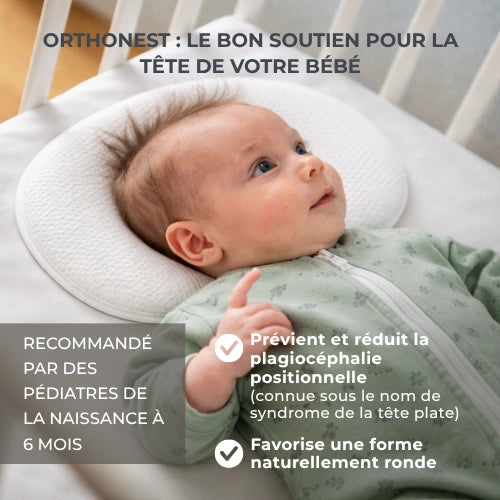 infografica-6505-FR-2