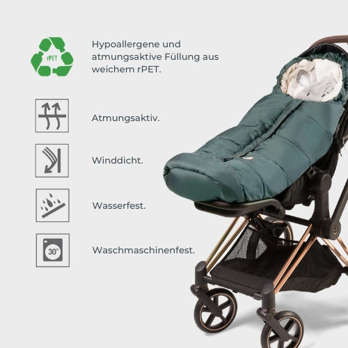 infografica-junior-cuccioli-DE-1