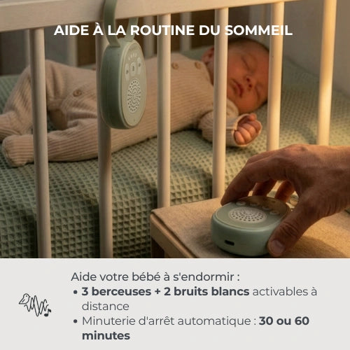 infografiche-3020-FR-4