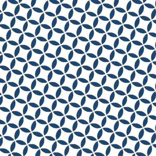 federa-per-feedfriend-blu-e-bianco