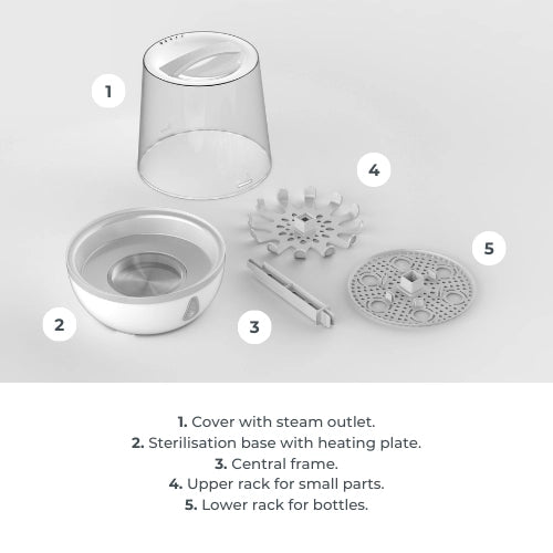 infografica-1083-EN-4