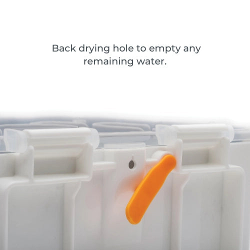 infografica-1085-EN-3