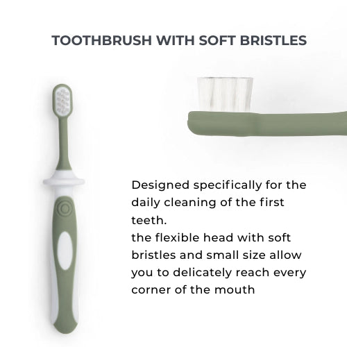 infografica-1101-EN-5