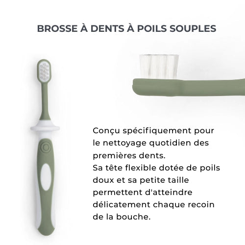 infografica-1101-FR-5