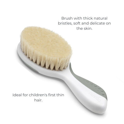 infografica-1137-EN-1