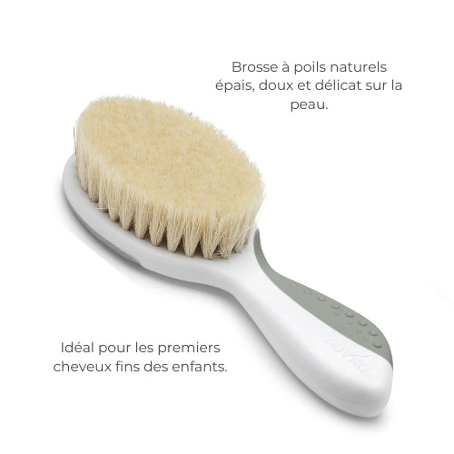 infografica-1137-FR-1