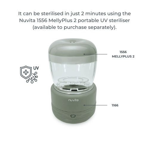 infografica-1166-EN-6