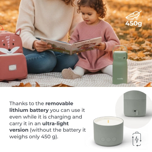 infografica-1190-EN-4