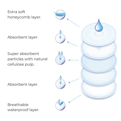 infografica-1202-EN-3