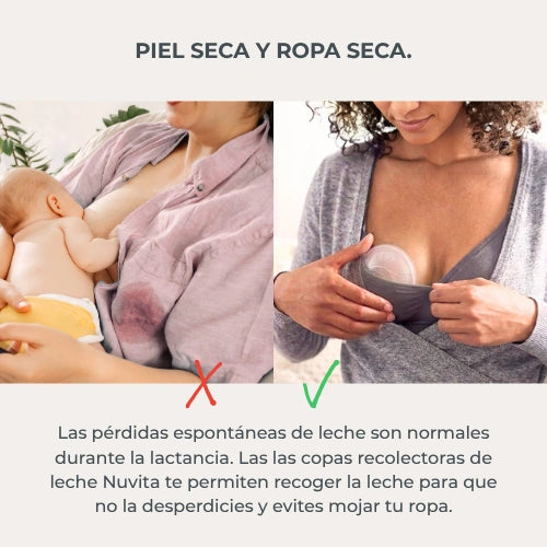 infografica-1205-ES-2