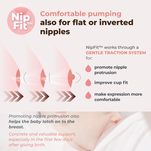 infografica-1260W-EN-4