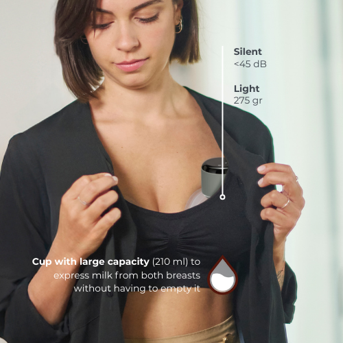 infografica-1260W-EN-6