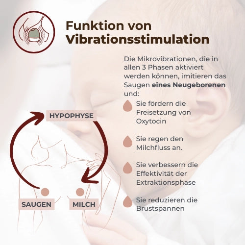 infografica-1264W-DE-4